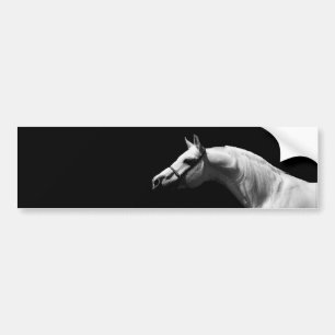 Calcomanía de arte de caballo en blanco y negro