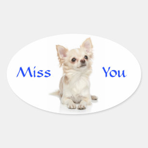 Calcomanía de cachorro Chihuahua Te Extraño
