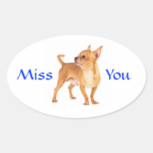 Calcomanía de cachorro Chihuahua te extraño
