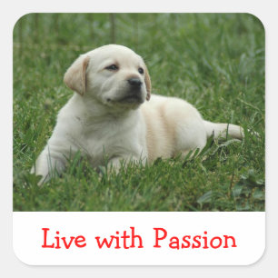 Calcomanía de cachorro de Labrador Retriever Vive