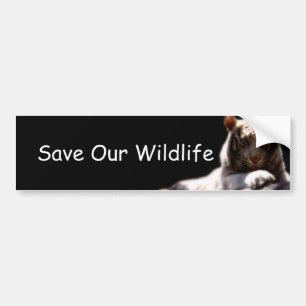Calcomanía de Conciencia de Vida Silvestre para Au
