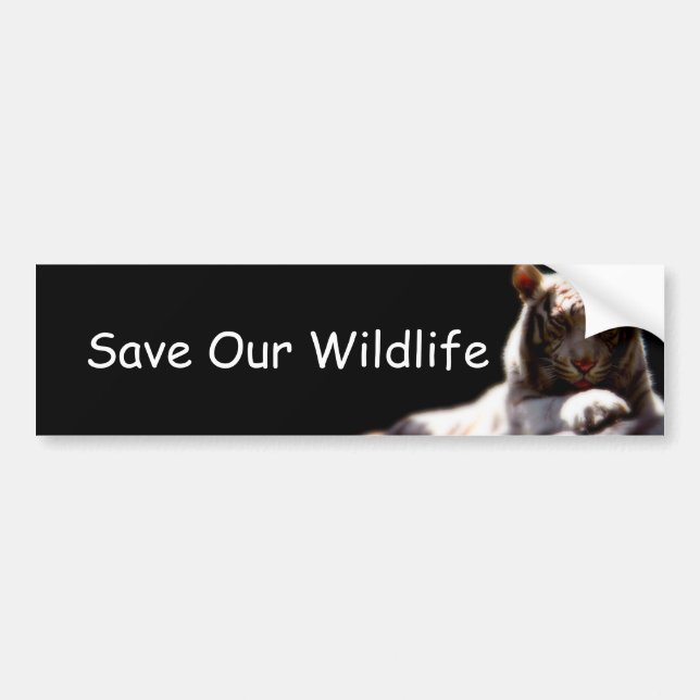 Calcomanía de Conciencia de Vida Silvestre para Au (Frente)