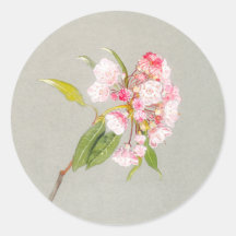 Calcomanía de Flor de Laurel de Montaña