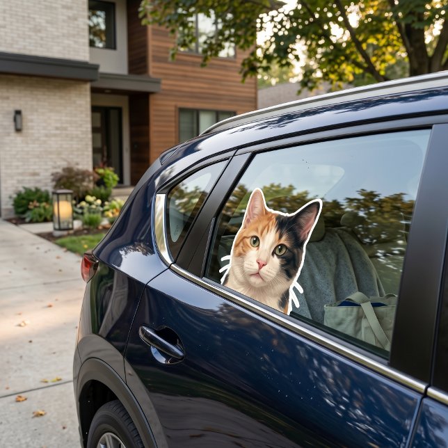 Calcomanía de foto de gato personalizada – Calcoma (Subido por el creador)