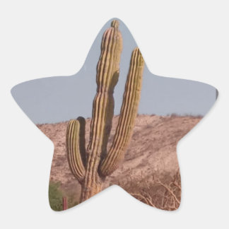 Calcomanía de fotografía de cactus