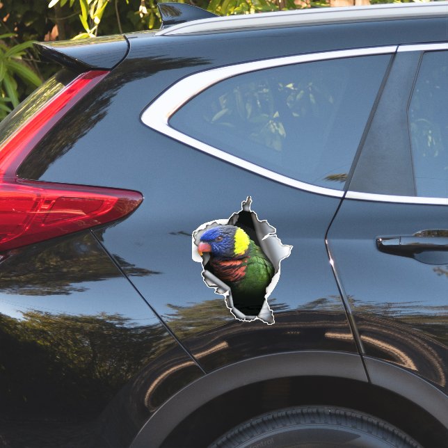 Calcomanía de loro arcoíris – Pegatina de loro exó (Lado del coche)