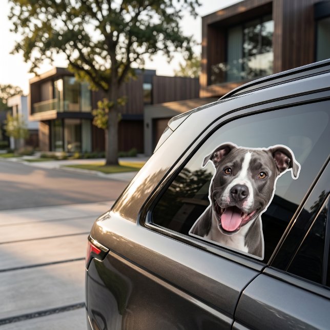 Calcomanía de mascota personalizada – Pegatina de  (Subido por el creador)