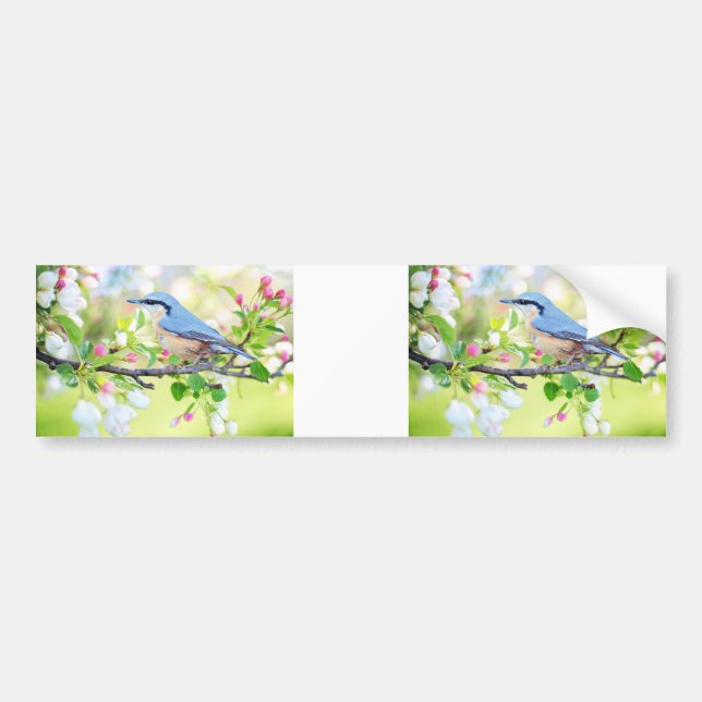 calcomanía de pájaro azul de primavera agitada (Frente)