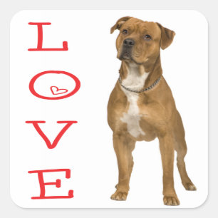 Calcomanía de perro Terrier Americano Staffordshir