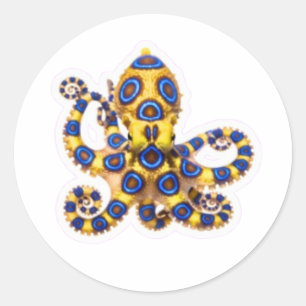 Calcomanía de pulpo de anillo azul vibrante - Exót