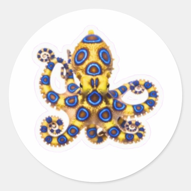 Calcomanía de pulpo de anillo azul vibrante - Exót (Anverso)