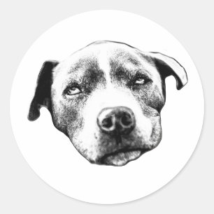 Calcomanía de retrato realista de Pit Bull