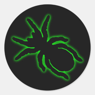 Calcomanía de tarántula