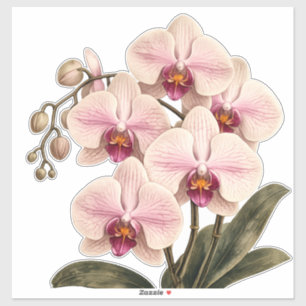 calcomanía de vinilo de orquídea