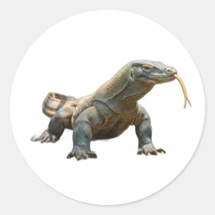 Calcomanía del dragón de Komodo antiguo patrimonio