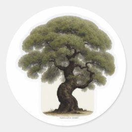 Calcomanía del Espíritu del Árbol Antiguo de Hierr