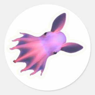 Calcomanía mágica de pulpo Dumbo rosa - Mar profun