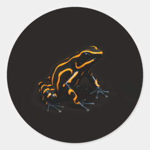 Calcomanía negra 4 Luxe con rana naranja negra