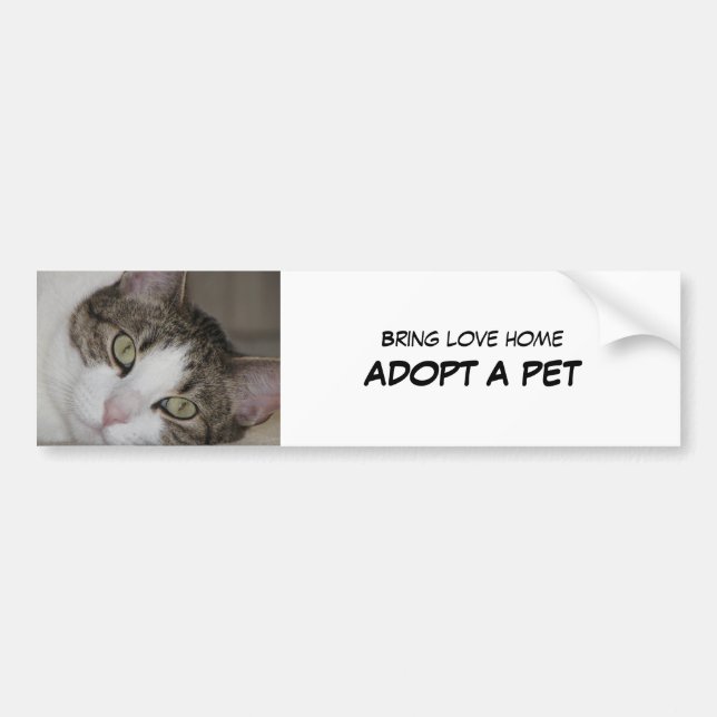 Calcomanía para parachoques Adoptar Mascota II (Frente)