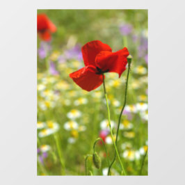 Calcomanía para ventana - La amapola roja Fotograf