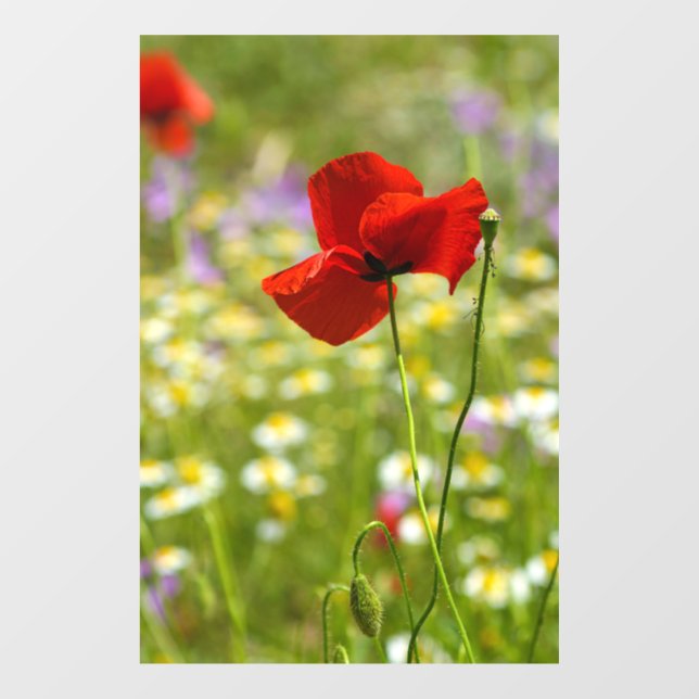Calcomanía para ventana - La amapola roja Fotograf (Hoja)