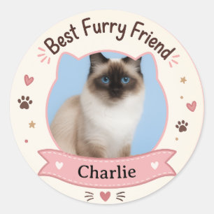 Calcomanía personalizable de foto y nombre de gato