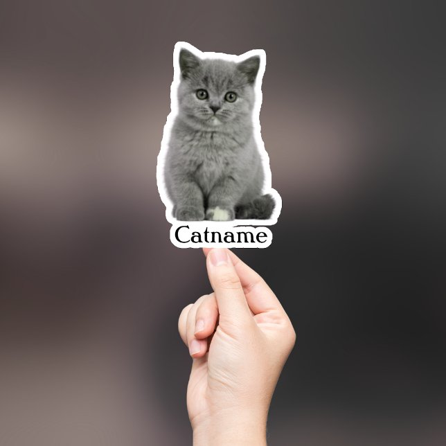 Calcomanía personalizada para mascotas, vinilo imp (Subido por el creador)