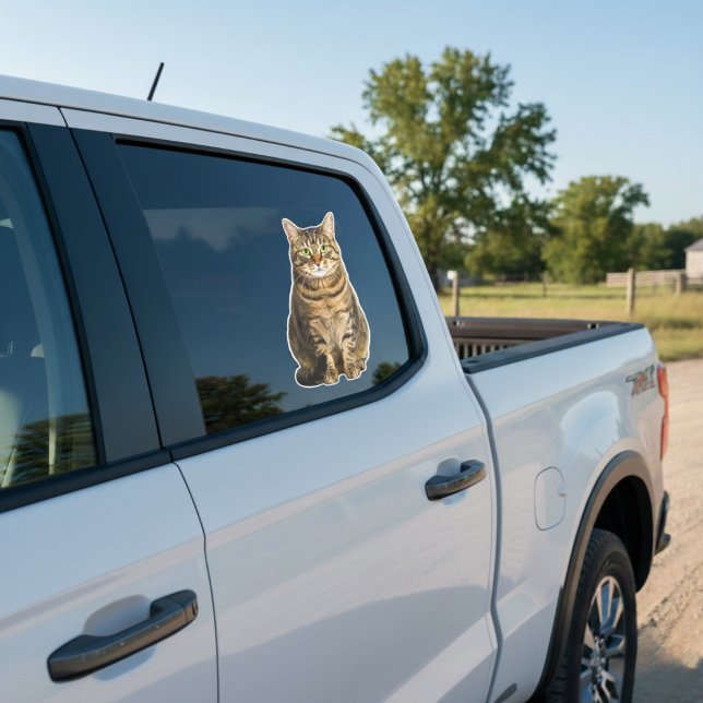 Calcomanía personalizada para ventana de coche con (Stick Your Best Friend on the Road.)