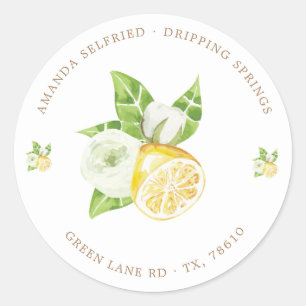 calcomanía redonda clásica de fruta de limonero cí