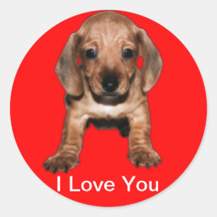 Calcomanía redonda teckel