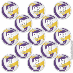 calcomanías del equipo de voleibol de oro púrpura