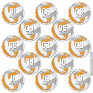calcomanías del equipo de voleibol gris naranja 13