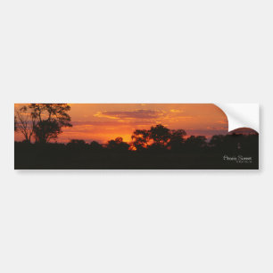 Calcomanías para parachoques de Acacia Sunset