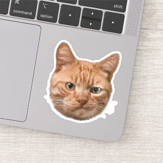 Calcomanías personalizadas de mascotas Pegatinas d