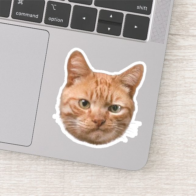 Calcomanías personalizadas de mascotas Pegatinas d (Detalle)