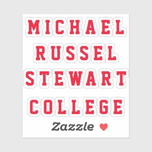 Calcomanías Transparentes de 4 Líneas para Tu Nomb (Hoja)