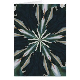 Caleidoscopio de la estrella de la cala