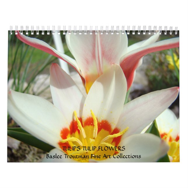 CALENDAR Calendarios TULIPS Flores de tulipanes (Tapa)