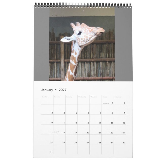 Calendario (Jan 2027)