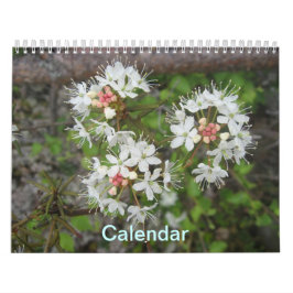 Calendario