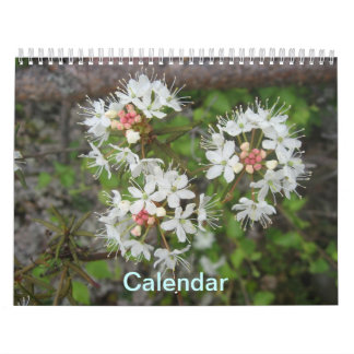 Calendario