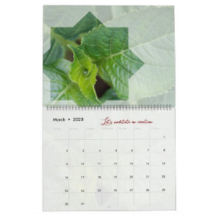 CALENDARIO 