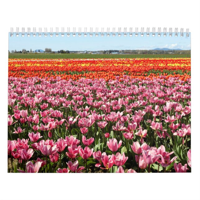 Calendario (Tapa)