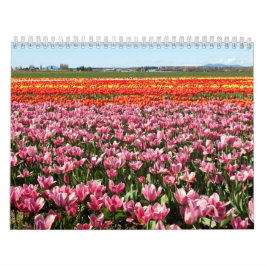 Calendario