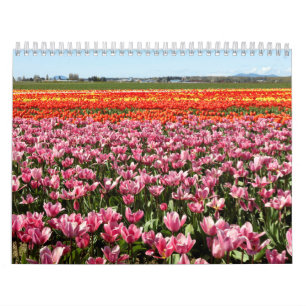 Calendario