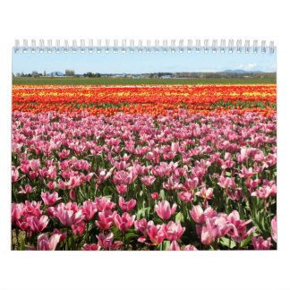 Calendario