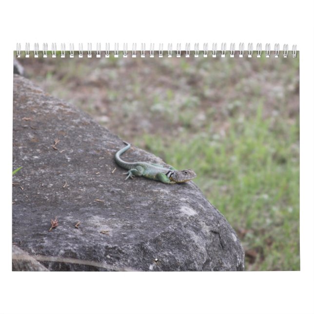 Calendario (Tapa)