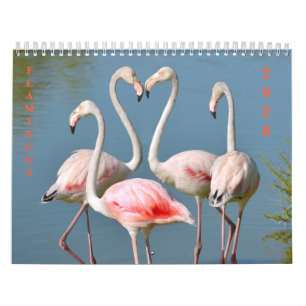 Calendario