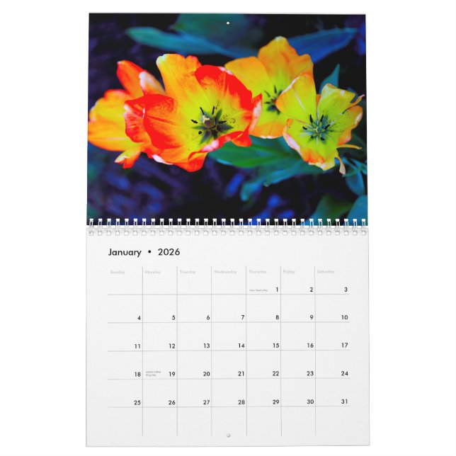 Calendario (Jan 2026)