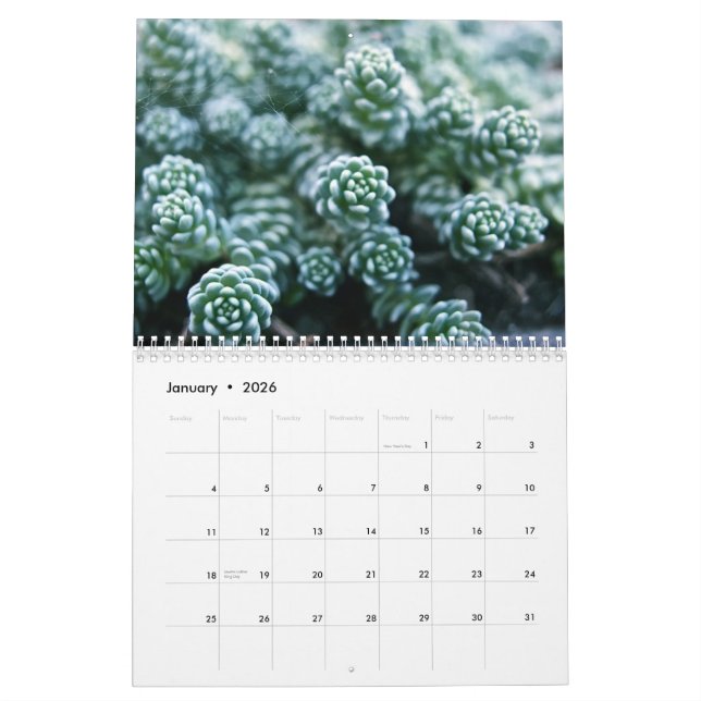 Calendario (Jan 2026)